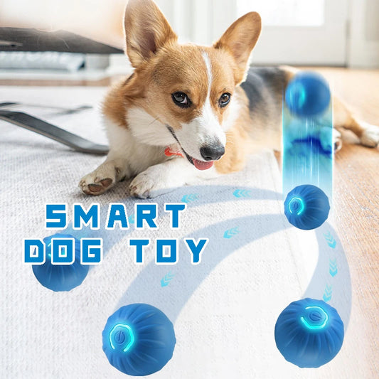 SmartPup Ball