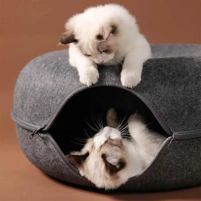 Cat Donut - Comfy Pet House + Toy