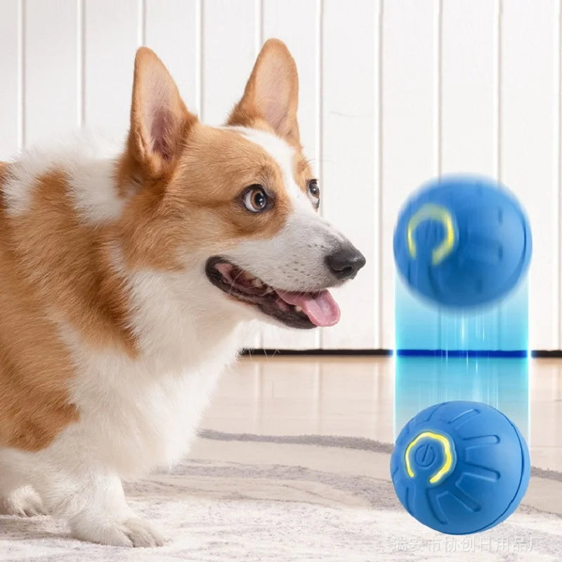 SmartPup Ball