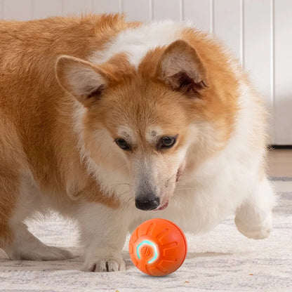 SmartPup Ball